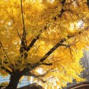 엘더블유컨벤션 이미지