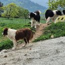 완도농장 이미지