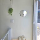 곱디곱개 이미지