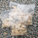 [내돈내산] 소소한 캠핑용품 구매후기 곰지락난로 받침대 에코카보닝 우드 울 착화제 구매후개