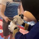 주식회사 사인파크 | 싱가포르 디즈니 어드벤처 크루즈 여행 (2026.06.15-18) Day-2. 여기저기 돌아다니고 사진찍기.