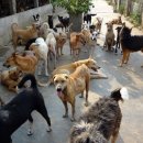 해양푸드 이미지