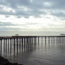 궁평항로 이미지