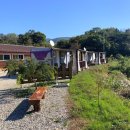 삼막골카라반펜션 이미지