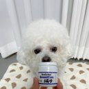 바울동물병원