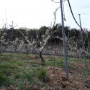 화진농장 이미지