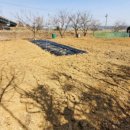 대농2농장 이미지