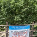 [여름 휴가] 충북 괴산 속리산 화양구곡(화양계곡) 물놀이 추천 백숙 맛집 운영 식당 후기 및 차량...