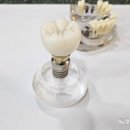 로뎀치과의원 이미지