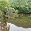 청솔식당 이미지