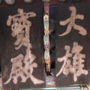 강포초등학교 | 재송여중 하계 직원연수 4 - 백련사와 다산초당 그리고 영랑생가