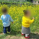 하늘꽃어린이집 이미지