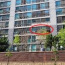 청초호유원지(북측) 이미지