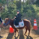 호포승마스쿨 | 호포포니스쿨 양산 무료 승마교실 다녀왔어요