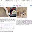 이리온동물병원 아브뉴프랑 판교점 | 판교동물병원, 다리를 저는게 강아지 고관절 탈구일 수 있다고요?