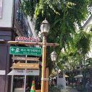 보정동 카페거리 이미지