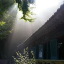 고란약수 이미지