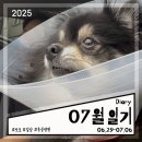 치료해 주오 | 2025.06.29-07.05 로또 병원 가는날 홍게 둘째랑 데이트 주간 일기