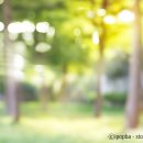 안경나라 수곡점 이미지