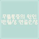 서라벌정형외과의원 | 무릎통증의 원인 반월상 연골손상