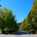 호반로(상아동) 이미지