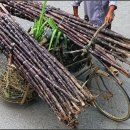 달달한이야기 이미지