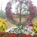 유림-1024 이미지