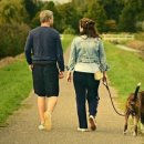 더조은 재가센터 이미지