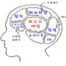 그린힐 뒤(기아자동차) 이미지
