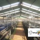 이재문농장 이미지