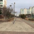 양지마을 보행자도로 이미지
