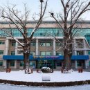 (주)서울나무병원