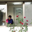 남해-179 이미지