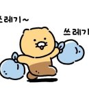 데일리조이