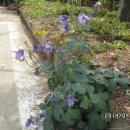 원무술한우촌 이미지