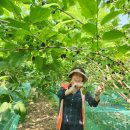 이상재농장 이미지