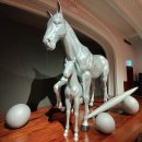 소망유통 | 2026 국가유산청 '말의 해' 특별전 《말, 영원의 질주》 관람 후기