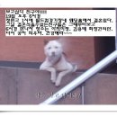 수원-0969 이미지