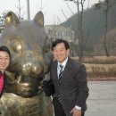 용면초등학교 이미지