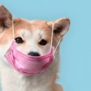 더케이 동물병원 이미지