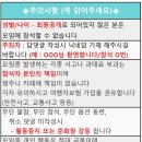 [마감]8월12일(토)-13일(일) 양양 솔밭캠핑장 카라반/텐트 캠핑 이미지