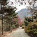 목동초백둔분교장 | 포천 브라보캠핑장 우중캠 솔직후기