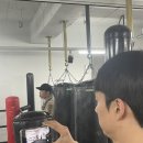 슈가복싱 이미지