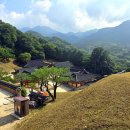 의령 백련암 목조보살좌상과 복장유물 | [백팔 순례] 합천 해인사 꼭 가볼 만한 산내 암자 해인사 원당암 혜암 큰스님의 흔적을 만나다.
