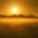 동해선 부전역 이미지