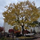 방림1동꽃마을작은도서관 이미지