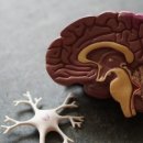 천자로-3 이미지