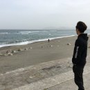 미야자키