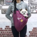 메르시독 이미지