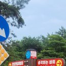 모항해수욕장 이미지